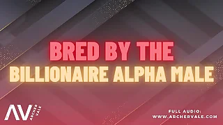 174 story porn videos